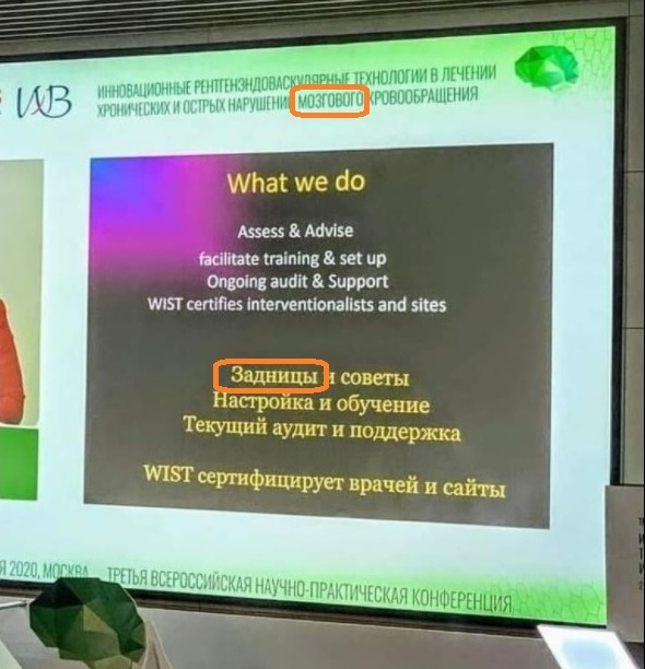 полушария.jpg