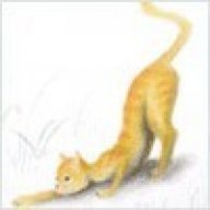 mgetoc
